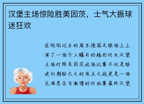汉堡主场惊险胜美因茨，士气大振球迷狂欢